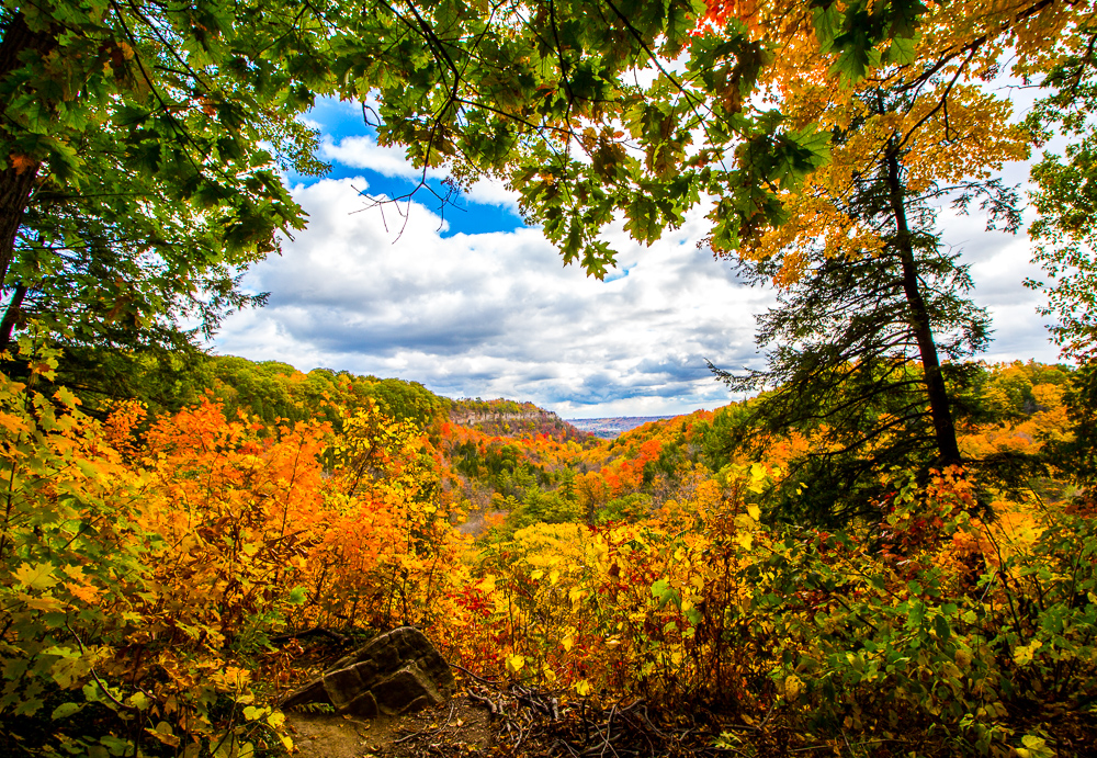 Spencer Gorge Fall